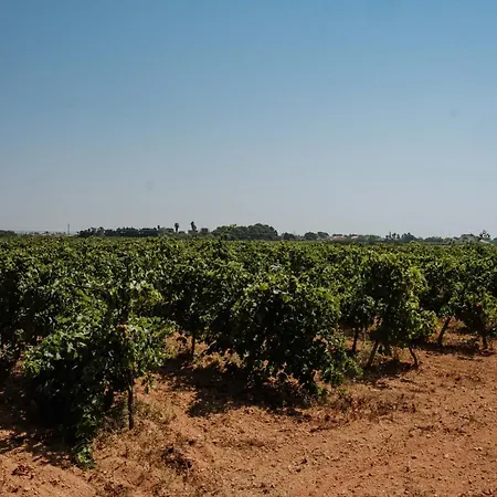 Podere Fossarunza Di Carlo Manzo Marsala